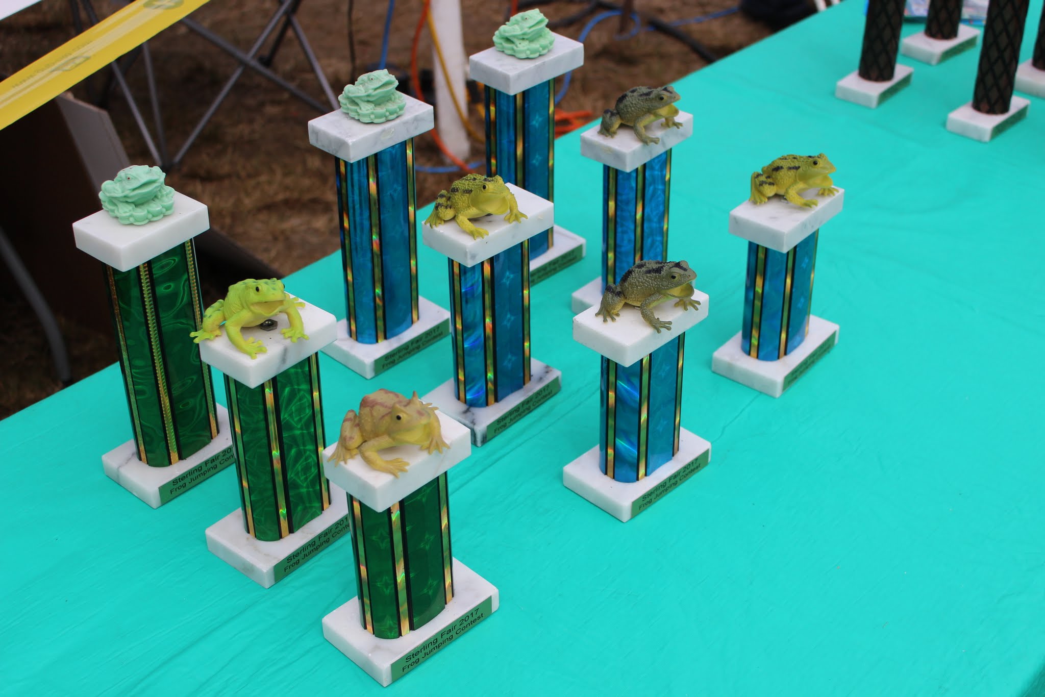 Frog Jumping Contest Trophys